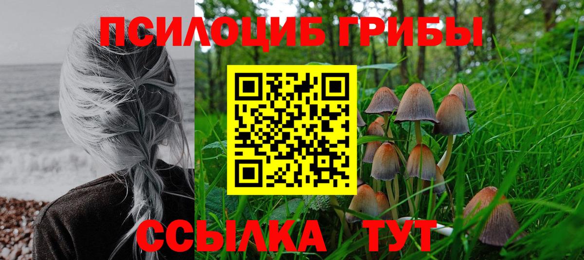 Псилоцибиновые грибы мицелий  Вход с VPN  Ставрополь  где можно купить   Псилоцибиновые грибы мухоморы 
