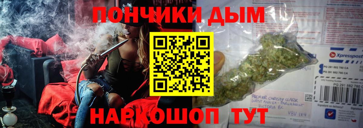 Бошки марихуана индика Ставрополь