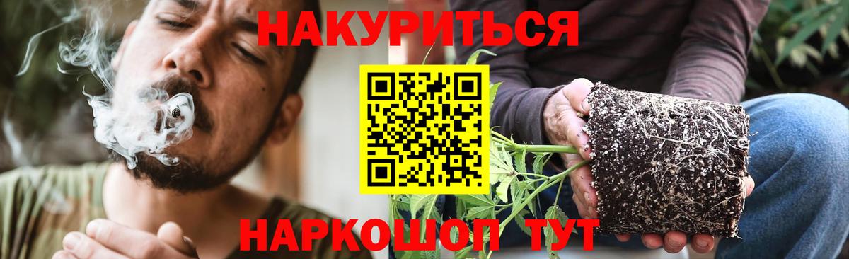 Канабис гибрид  Шишки марихуана Bruce Banner  Ставрополь  Бошки марихуана VHQ  МАРИХУАНА Bruce Banner  Вход с VPN 